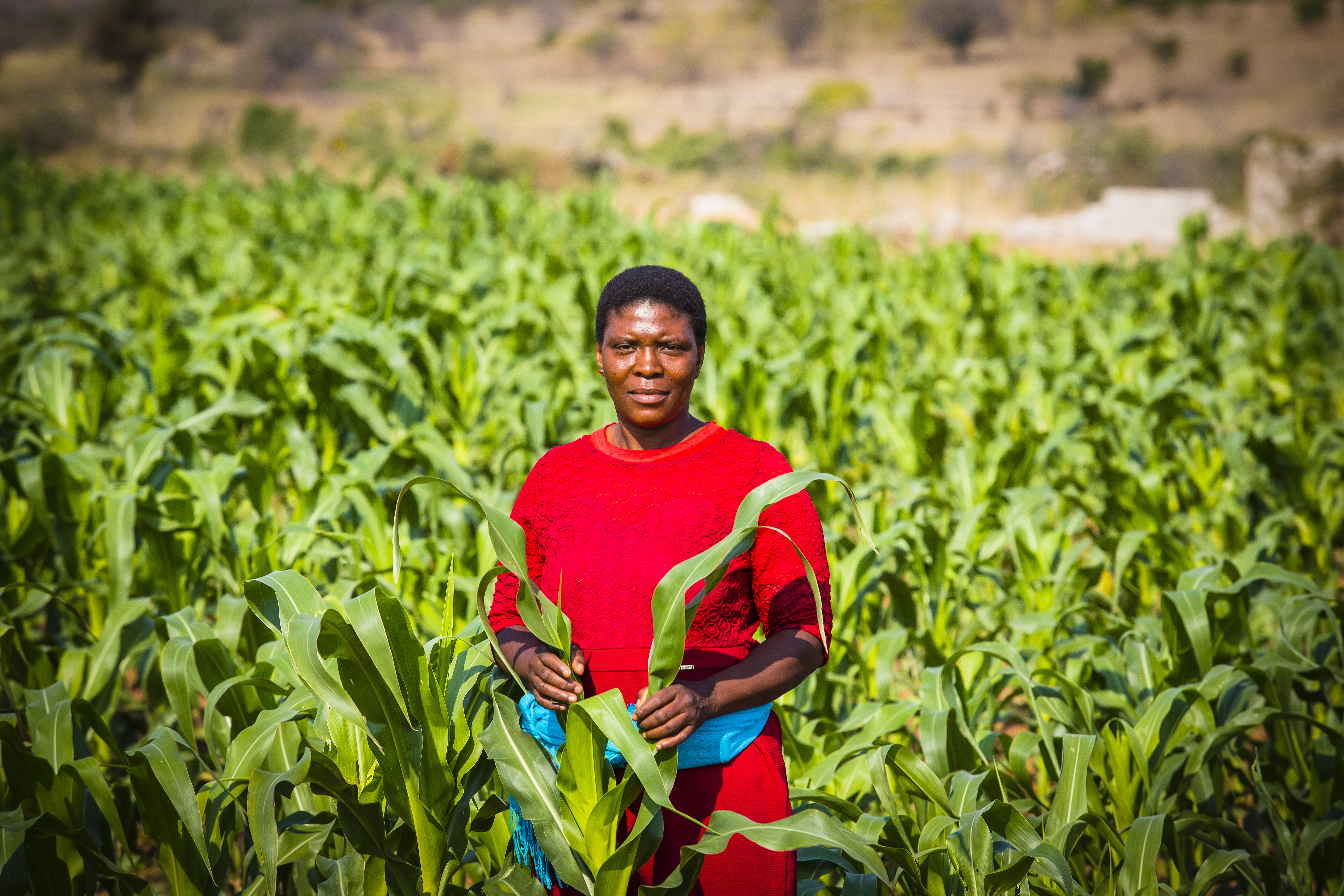 Sustainable Agriculture in Ethiopia